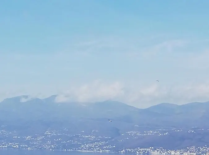 아파트 